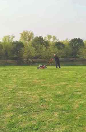 小區(qū)/住宅社區(qū)綠化養(yǎng)護